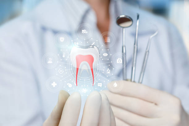 Best Dental Fillings (Composite and Amalgam)  in Burnettown, SC