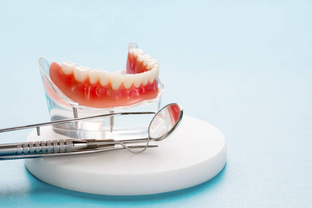 Best Periodontal (Gum) Disease Treatment  in Burnettown, SC